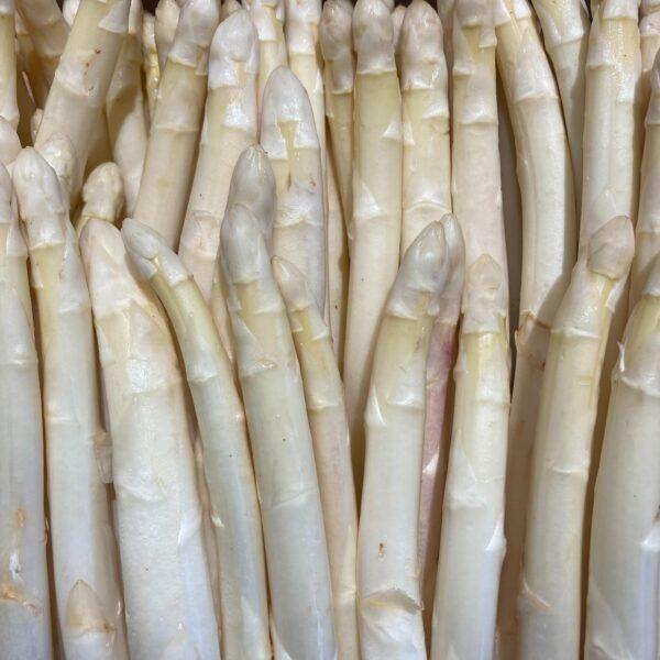 Asperges blanches