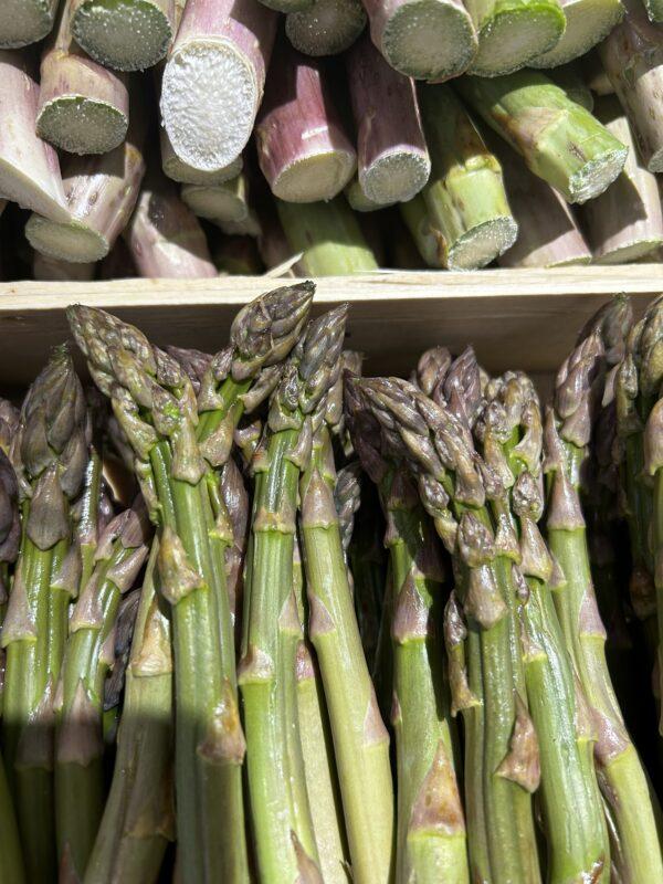 Asperges vertes