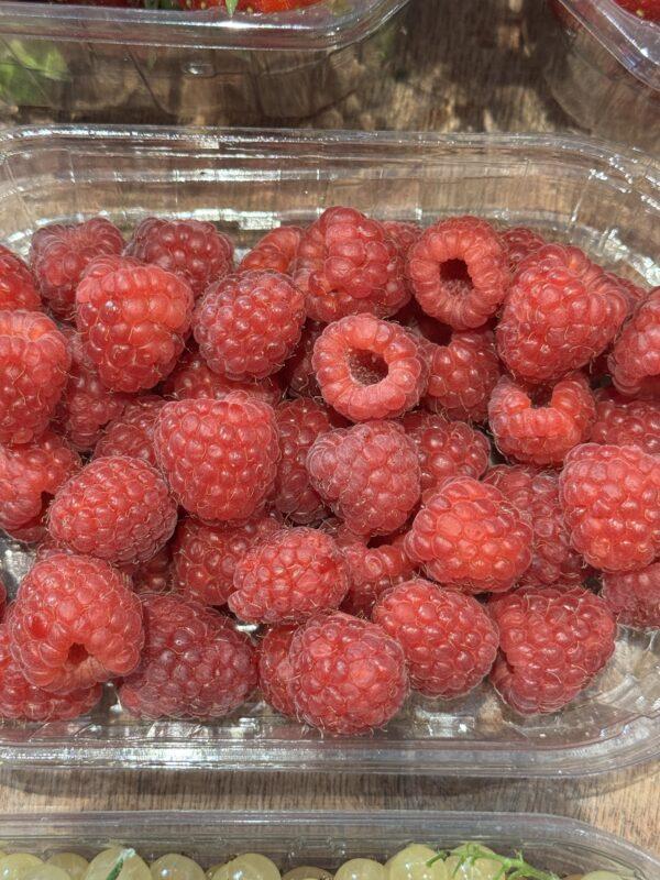 Framboises