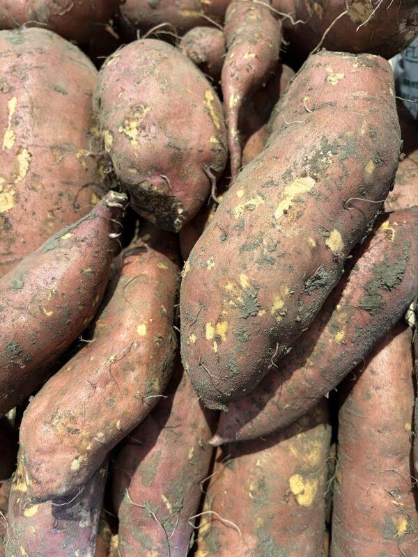 Patate douce