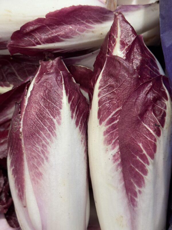 Endive rouge