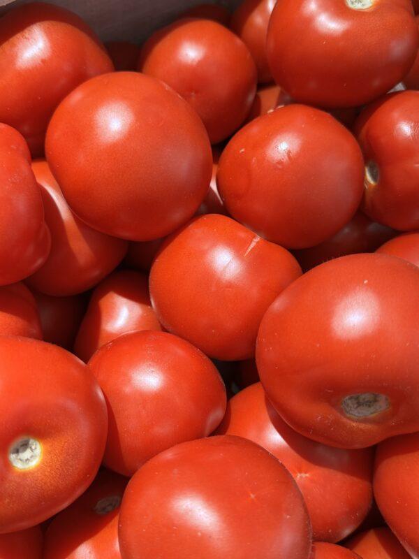 Tomates rondes