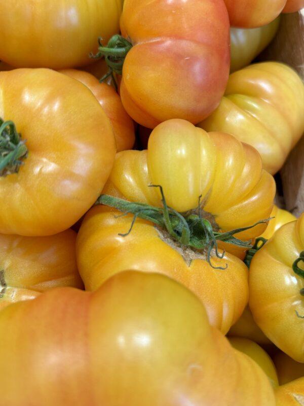 Tomates anciennes