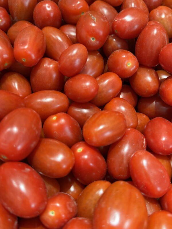 Tomates Cerises