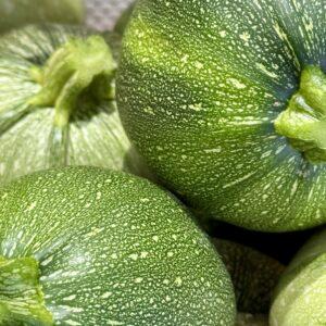 Courgette ronde
