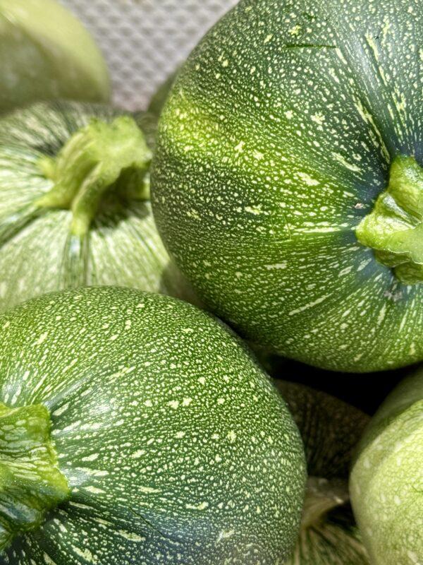 Courgette ronde