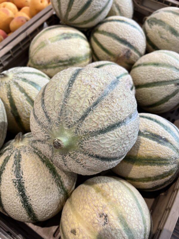 Melon