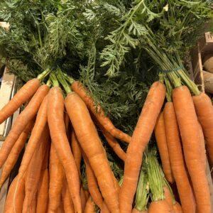 Botte de carottes