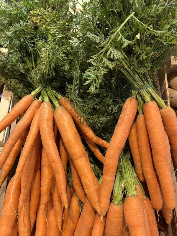 Botte de carottes