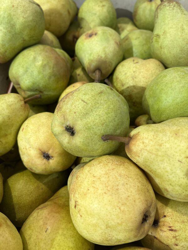 Poire