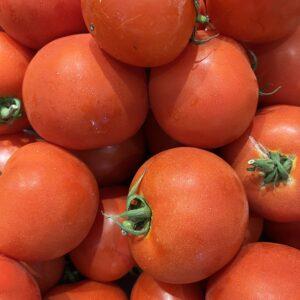 Tomates rondes BIO