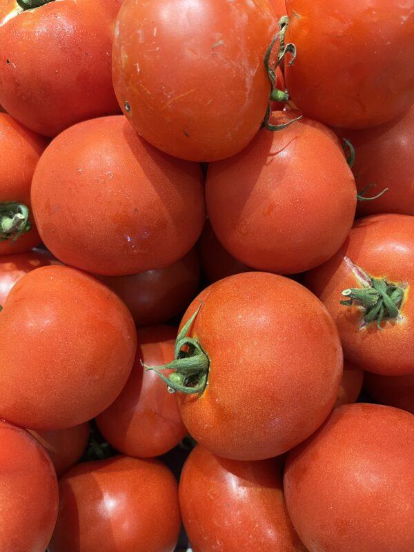 Tomates rondes BIO