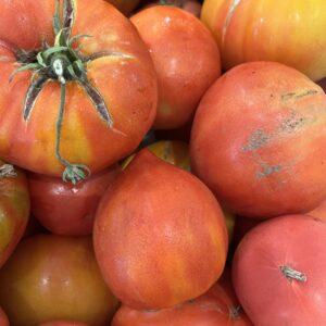 Tomates anciennes BIO
