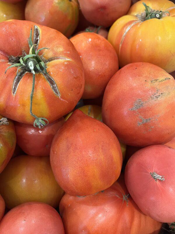 Tomates anciennes BIO
