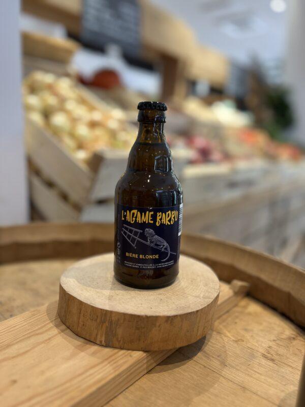 L'agame Barbu blonde