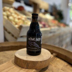 L'agame barbu stout