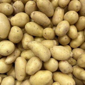 Pomme de terre Mitraille "Jazzy"