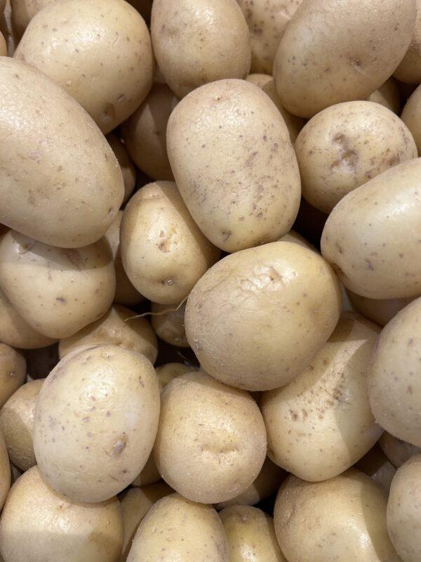 Pomme de terre lavée Agata