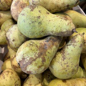 Poires "conférence"