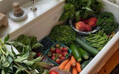 Bien manger à petit budget : nos astuces simples et locales pour se régaler sans se ruiner