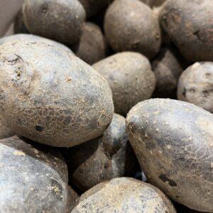 Pommes de terre - Bleue d'Artois